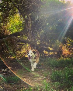 411CCC59-8B77-49AE-B85A-BA2B8F6D448E